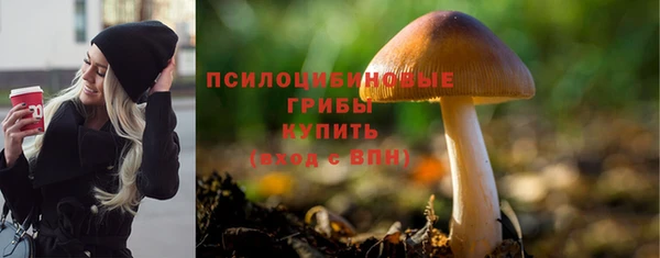таблы Арсеньев