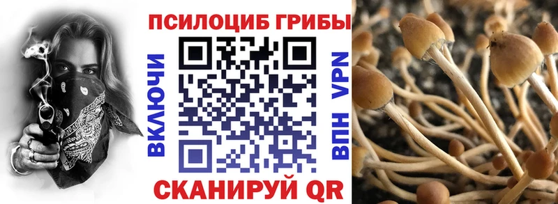 Купить закладки  Сысерть  Псилоцибиновые грибы мицелий 